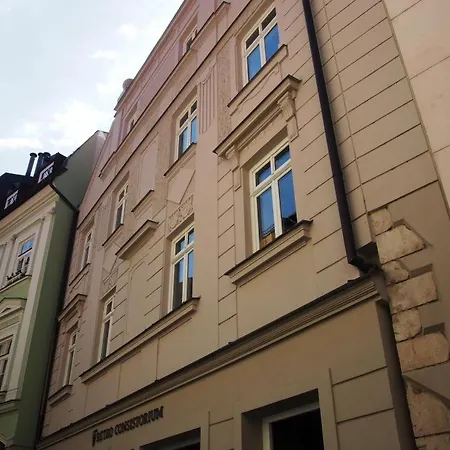 Roses Brno