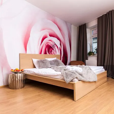 Roses Appartement Brno